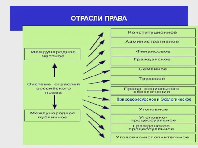 ОТРАСЛИ ПРАВА Природоресурсное и Экологическое