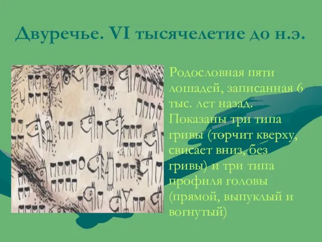 Двуречье. VI тысячелетие до н.э. Родословная пяти лошадей, записанная 6 тыс. лет