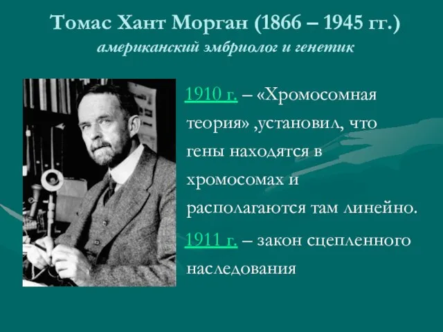 Томас Хант Морган (1866 – 1945 гг.) американский эмбриолог и генетик 1910