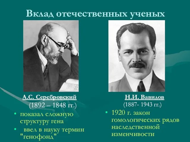 Вклад отечественных ученых А.С. Серебровский (1892 – 1848 гг.) показал сложную структуру