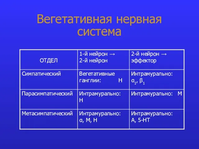 Вегетативная нервная система