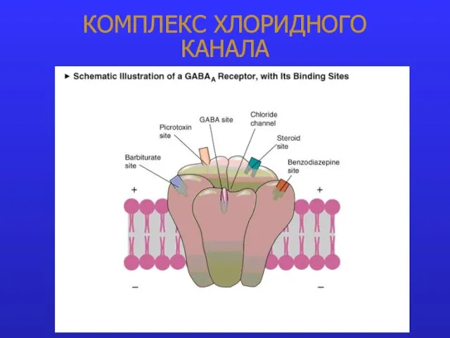 КОМПЛЕКС ХЛОРИДНОГО КАНАЛА