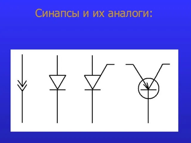 Синапсы и их аналоги: