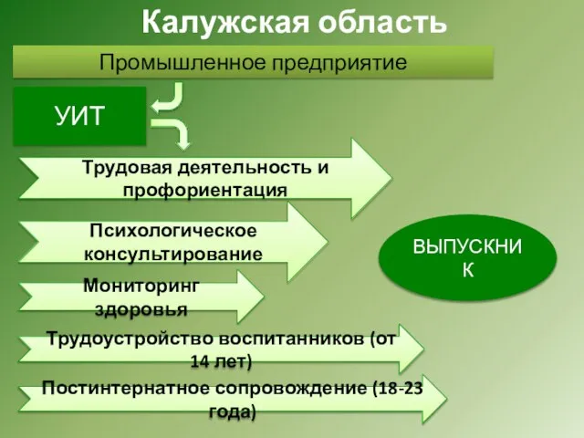 Калужская область Промышленное предприятие УИТ Трудовая деятельность и профориентация Психологическое консультирование Постинтернатное