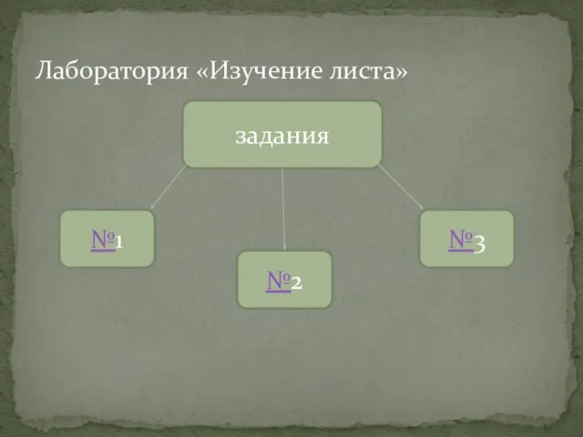 задания Лаборатория «Изучение листа» №1 №2 №3