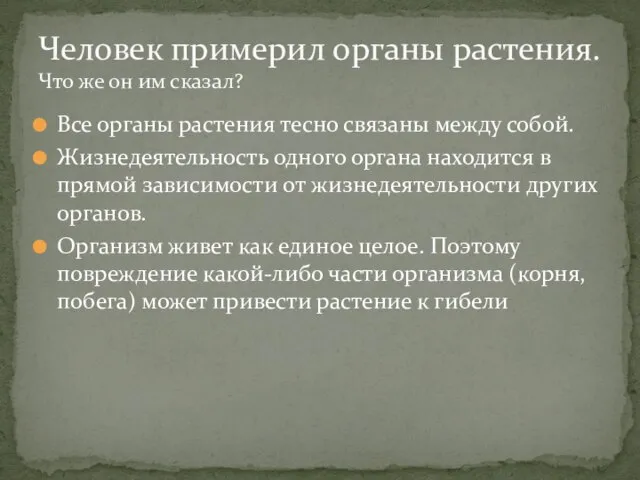 Все органы растения тесно связаны между собой. Жизнедеятельность одного органа находится в