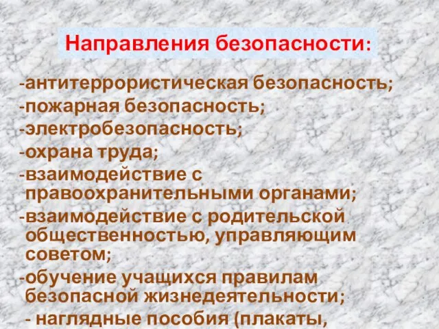 Направления безопасности: антитеррористическая безопасность; пожарная безопасность; электробезопасность; охрана труда; взаимодействие с правоохранительными