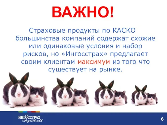 ВАЖНО! Страховые продукты по КАСКО большинства компаний содержат схожие или одинаковые условия