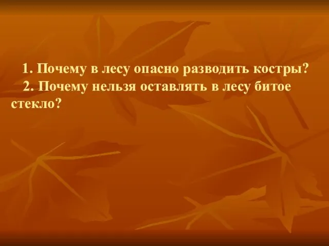 1. Почему в лесу опасно разводить костры? 2. Почему нельзя оставлять в лесу битое стекло?