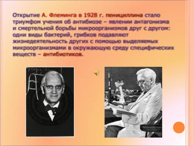 Открытие А. Флеминга в 1928 г. пенициллина стало триумфом учения об антибиозе