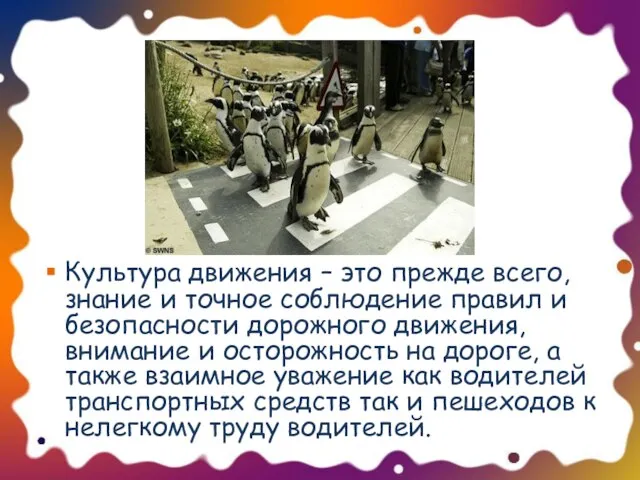 Культура движения – это прежде всего, знание и точное соблюдение правил и