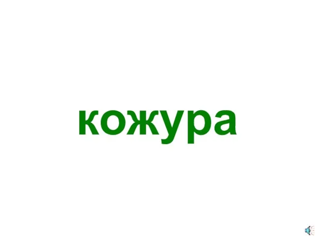 кожура