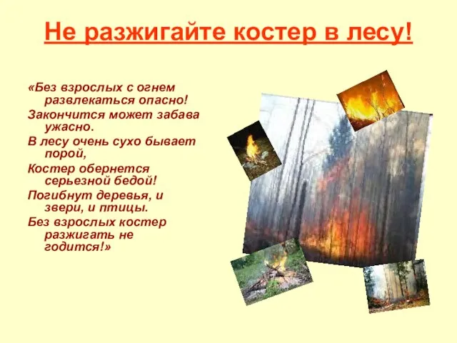 Не разжигайте костер в лесу! «Без взрослых с огнем развлекаться опасно! Закончится
