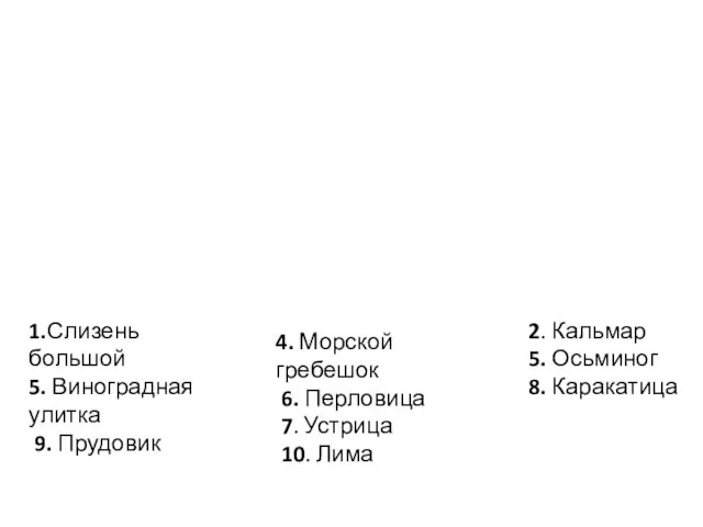 1.Слизень большой 5. Виноградная улитка 9. Прудовик 4. Морской гребешок 6. Перловица