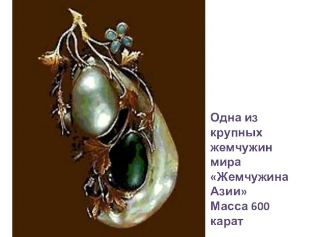 Одна из крупных жемчужин мира «Жемчужина Азии» Масса 600 карат