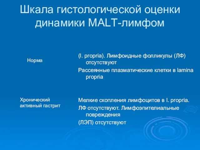 Шкала гистологической оценки динамики МАLТ-лимфом Норма (l. propria). Лимфоидные фолликулы (ЛФ) отсутствуют