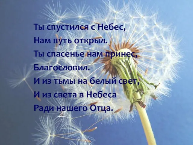 Ты спустился с Небес, Нам путь открыл. Ты спасенье нам принес, Благословил.