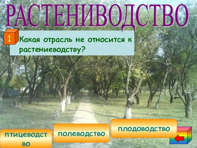 Какая отрасль не относится к растениеводству? птицеводство полеводство плодоводство 1 РАСТЕНИВОДСТВО