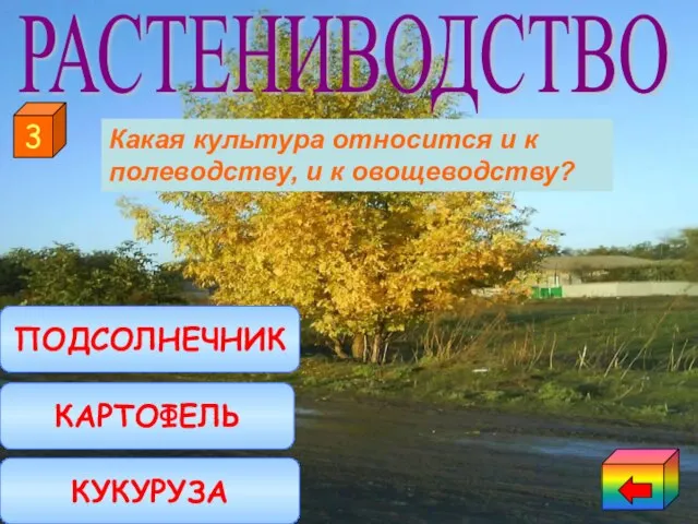 КАРТОФЕЛЬ КУКУРУЗА ПОДСОЛНЕЧНИК 3 РАСТЕНИВОДСТВО Какая культура относится и к полеводству, и к овощеводству?