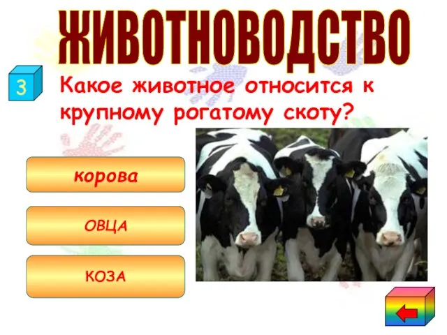 Какое животное относится к крупному рогатому скоту? корова ОВЦА КОЗА 3 ЖИВОТНОВОДСТВО