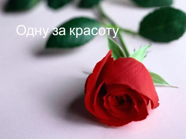 Одну за красоту