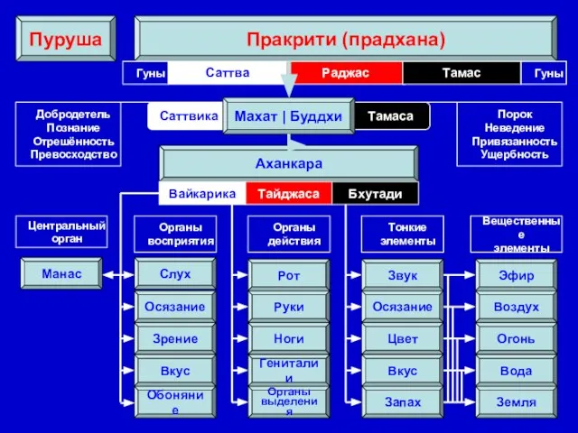 Тамаса Саттвика Манас Махат | Буддхи Аханкара Пракрити (прадхана) Пуруша Саттва Раджас