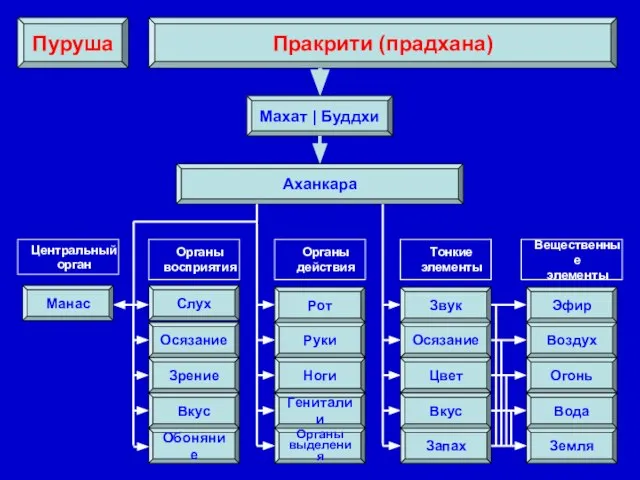 Манас Махат | Буддхи Аханкара Пракрити (прадхана) Пуруша Центральный орган Органы восприятия