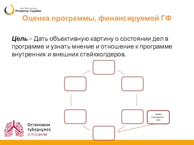 Оценка программы, финансируемой ГФ Цель – Дать объективную картину о состоянии дел