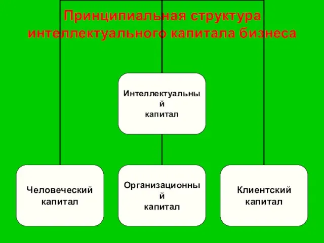 Принципиальная структура интеллектуального капитала бизнеса