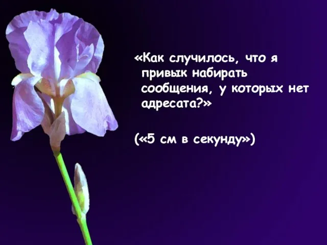 «Как случилось, что я привык набирать сообщения, у которых нет адресата?» («5 см в секунду»)