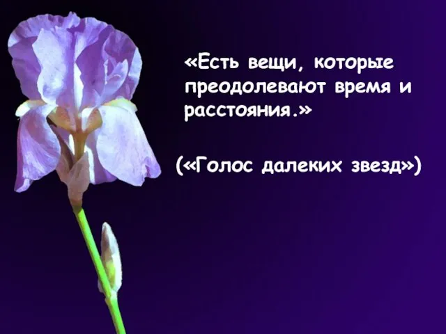 «Есть вещи, которые преодолевают время и расстояния.» («Голос далеких звезд»)