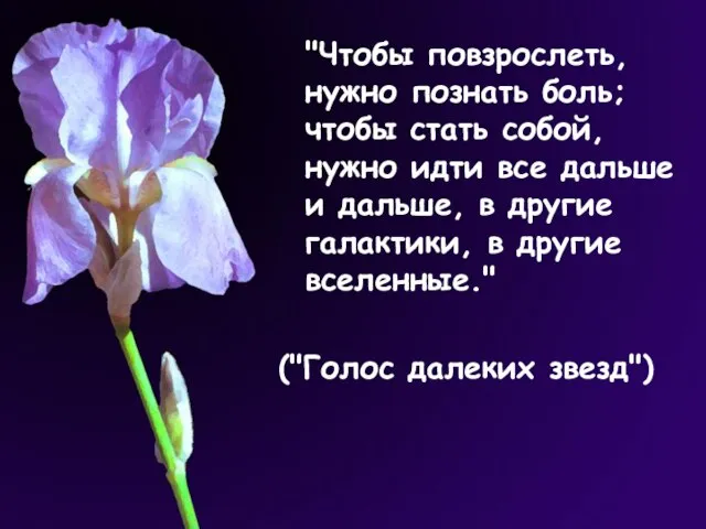 "Чтобы повзрослеть, нужно познать боль; чтобы стать собой, нужно идти все дальше