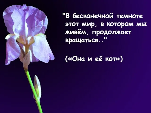 "В бесконечной темноте этот мир, в котором мы живём, продолжает вращаться.." («Она и её кот»)