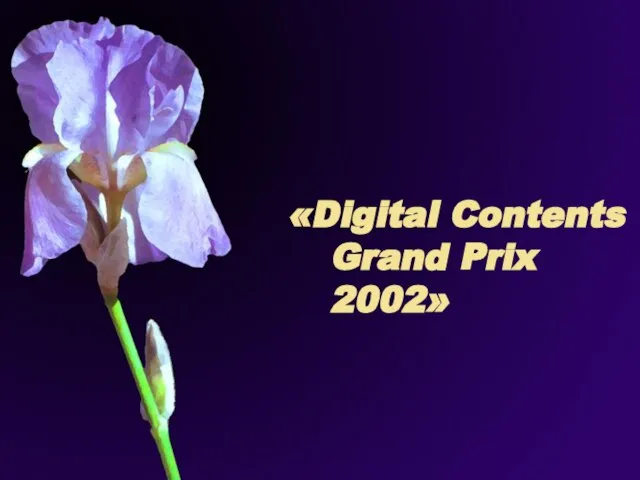 «Digital Contents Grand Prix 2002»