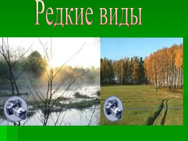 Редкие виды