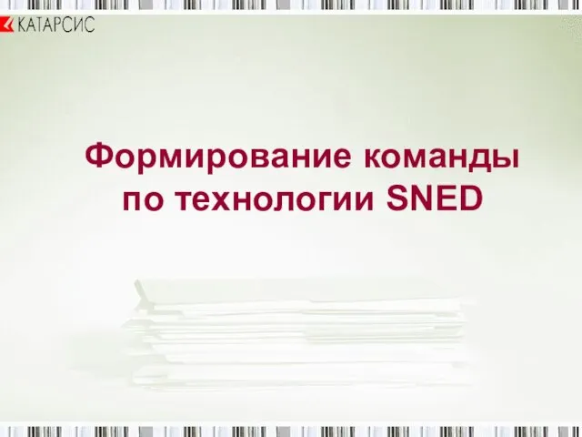 Формирование команды по технологии SNED