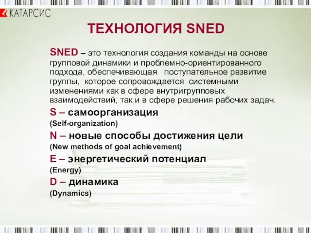 ТЕХНОЛОГИЯ SNED SNED – это технология создания команды на основе групповой динамики