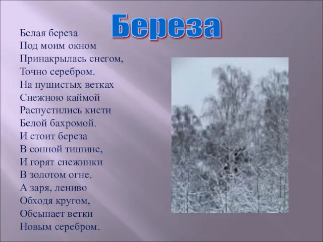 Береза Белая береза Под моим окном Принакрылась снегом, Точно серебром. На пушистых