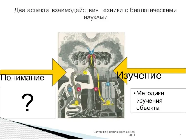 Converging Technologies Co.Ltd, 2011 Два аспекта взаимодействия техники с биологическими науками Понимание