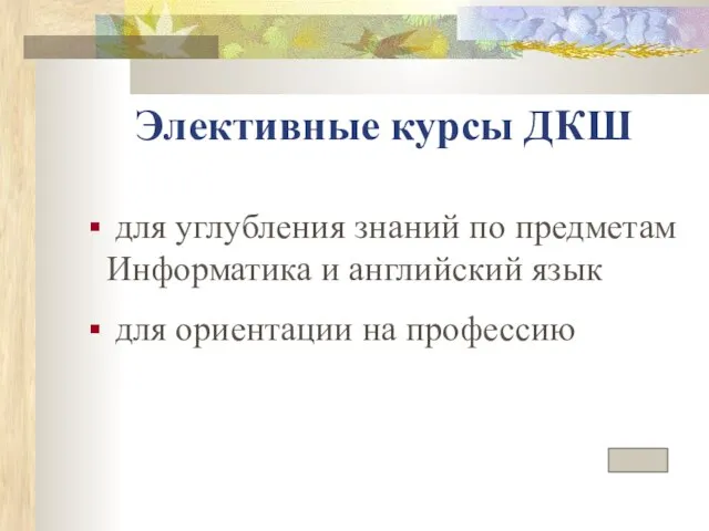 Элективные курсы ДКШ для углубления знаний по предметам Информатика и английский язык для ориентации на профессию