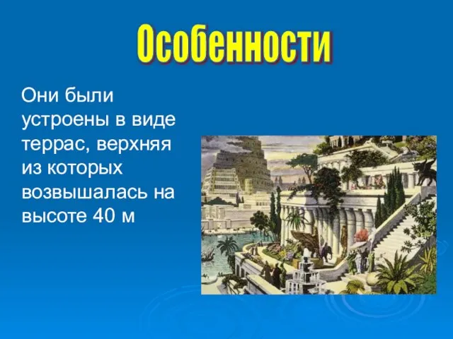 Они были устроены в виде террас, верхняя из которых возвышалась на высоте 40 м Особенности