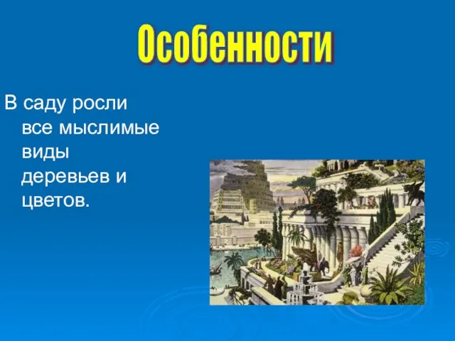 В саду росли все мыслимые виды деревьев и цветов. Особенности