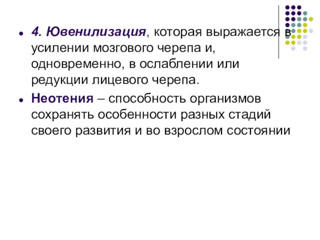 4. Ювенилизация, которая выражается в усилении мозгового черепа и, одновременно, в ослаблении