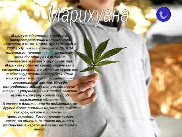 Марихуана (конопля) - наиболее распространённый нелегальный наркотик в мире. Опрос, проведённый в