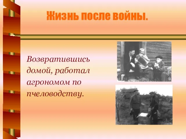 Жизнь после войны. Возвратившись домой, работал агрономом по пчеловодству.