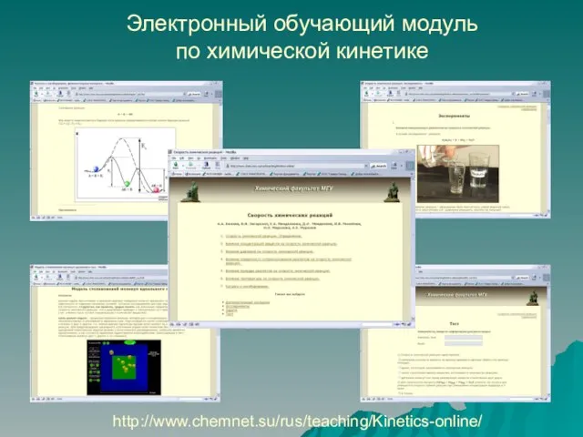 Электронный обучающий модуль по химической кинетике http://www.chemnet.su/rus/teaching/Kinetics-online/