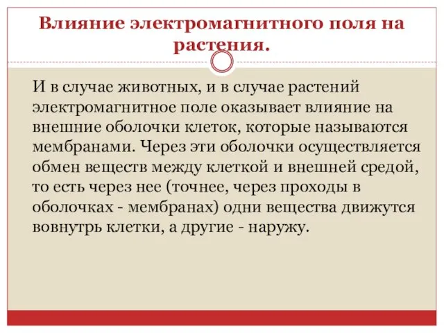 Влияние электромагнитного поля на растения. И в случае животных, и в случае