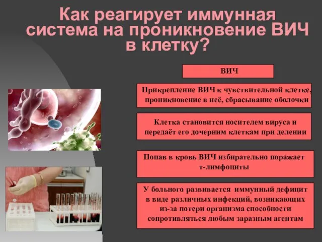 Как реагирует иммунная система на проникновение ВИЧ в клетку? ВИЧ Прикрепление ВИЧ