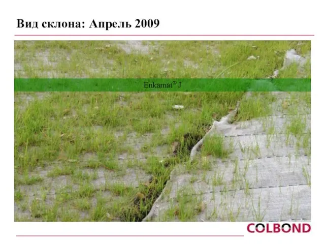 Вид склона: Апрель 2009 Enkamat® J