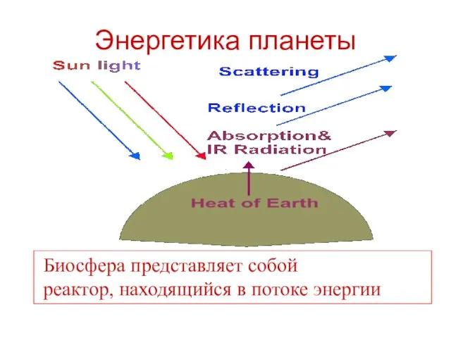 Энергетика планеты Биосфера представляет собой реактор, находящийся в потоке энергии